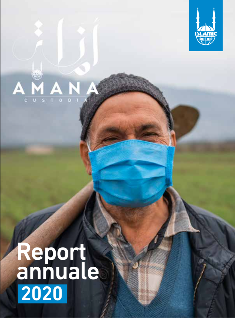 copertina report annuale del 2020